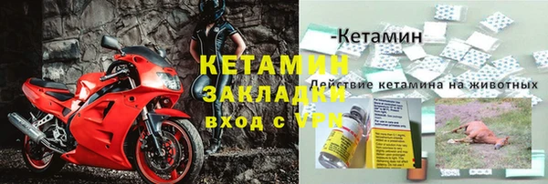 ГАЛЛЮЦИНОГЕННЫЕ ГРИБЫ Богданович