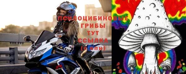 крисы Сясьстрой